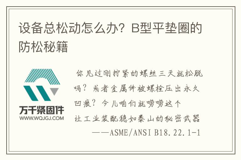 設(shè)備總松動(dòng)怎么辦？B型平墊圈的防松秘籍