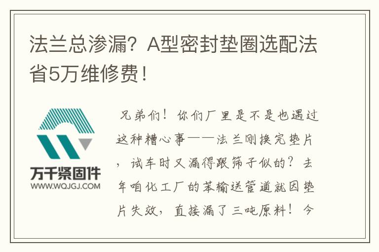 法蘭總滲漏？A型密封墊圈選配法省5萬維修費！