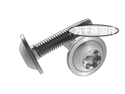梅花槽圓頭凸緣螺釘 ASME B18.6.3